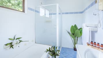 Bathtub, free toiletries, hair dryer