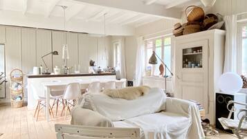 TV, fireplace, video games, DVD player
