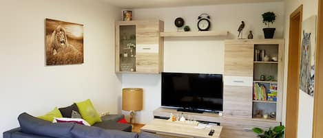 Smart-TV, DVD-Player, Bücher, Musikbibliothek