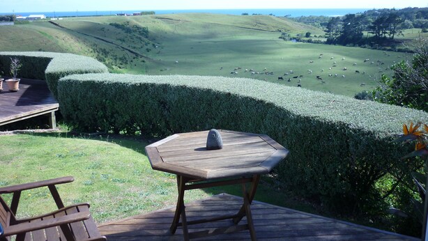 Terraza con mesa y sillas con vista a un campo verde y vacas.