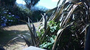 Un jardín con diversas plantas y una montaña al fondo.