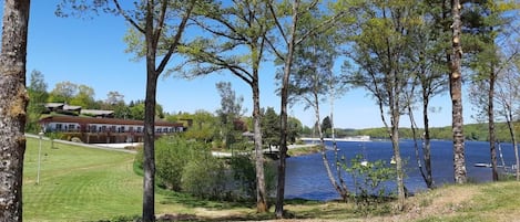 A lakeside property with a building, trees, and a clear view of the water.