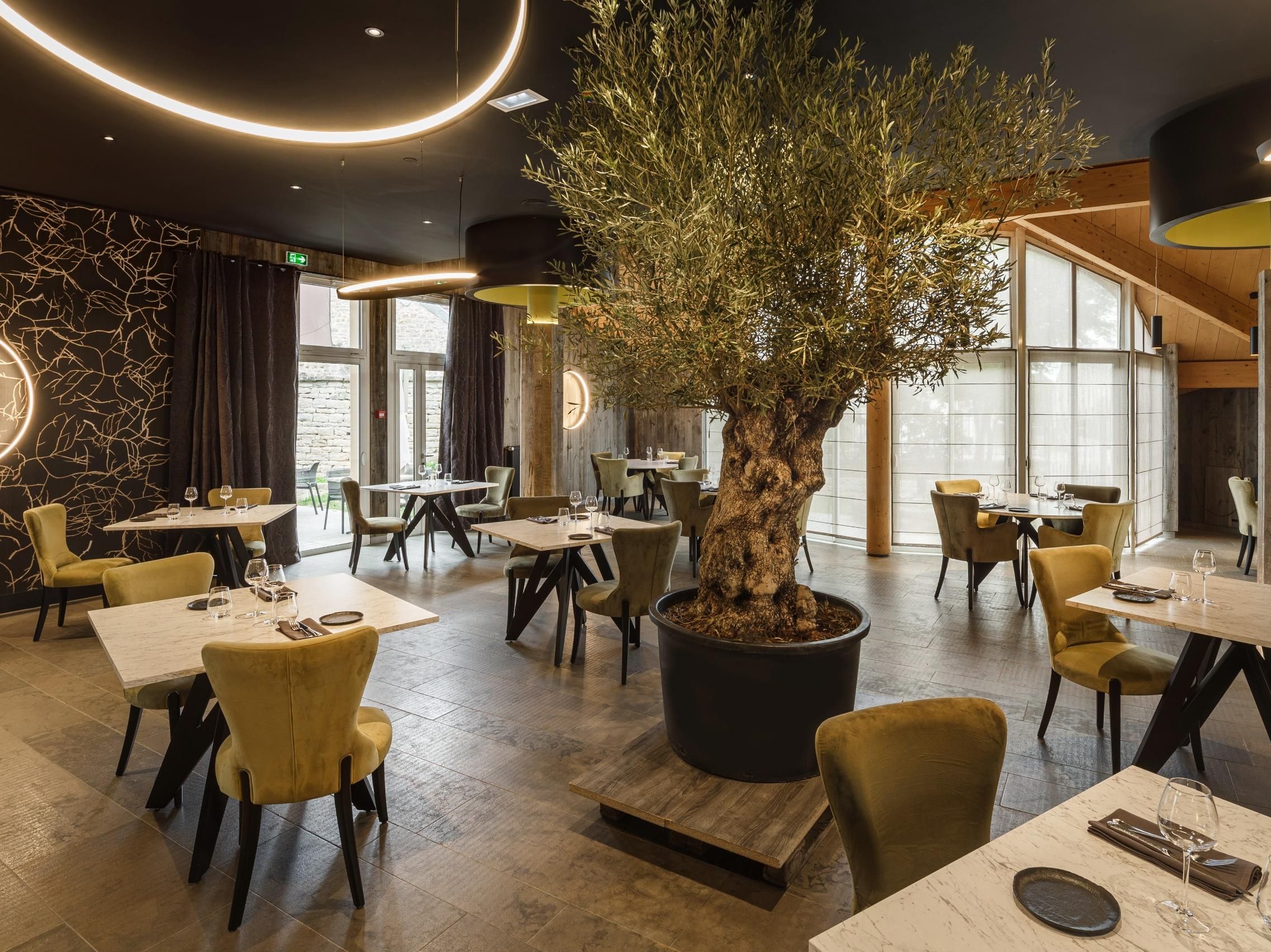 Interior de restaurante con mesas redondas, sillas, una gran oliva en maceta e iluminación moderna.