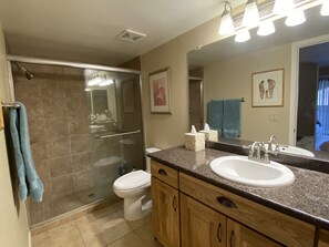Combined shower/bathtub, hair dryer, towels - A snowbird's paradise (Tucson)
