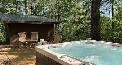 Spacious Mountaintop Lodge: close to everything, sauna, hot tub and game room