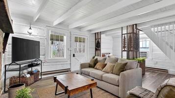 TV, fireplace, DVD player