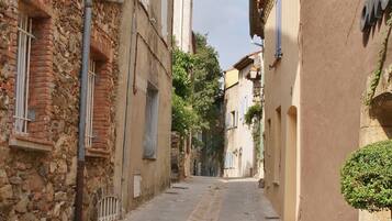 A narrow cobblestone street flanked by historic buildings with stone facades and traditional window shutters.
