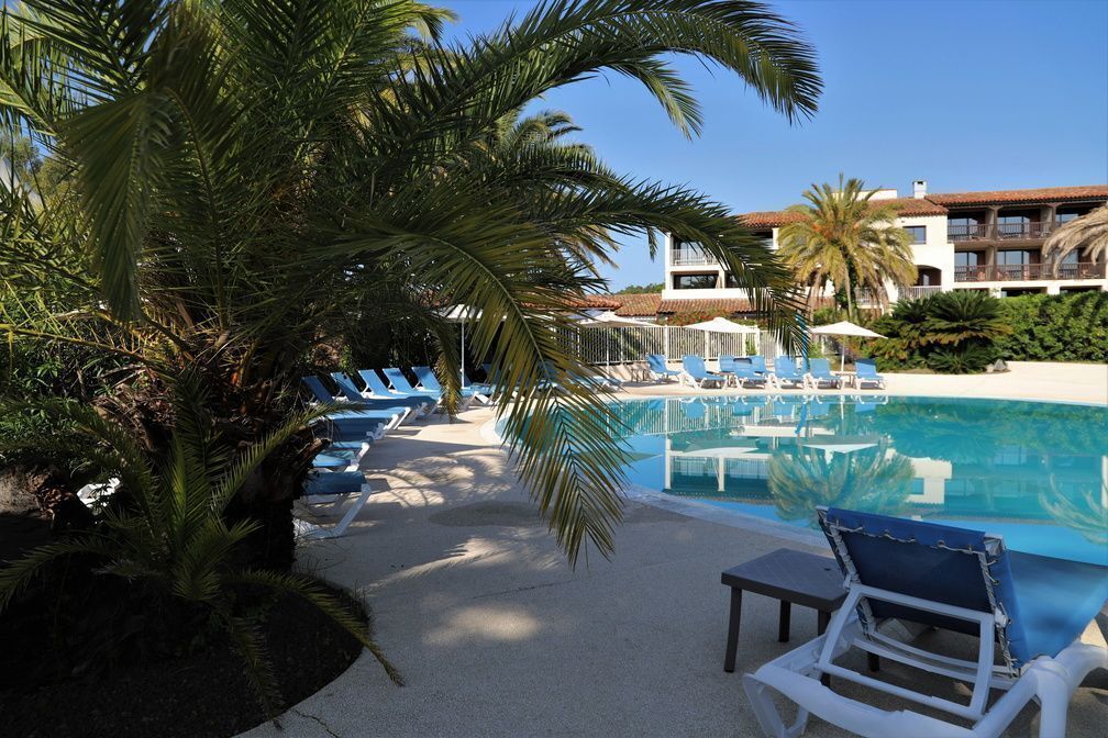 A pool area with lounge chairs and a palm tree.
