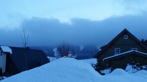 A snow-covered landscape with a wooden house and a smaller cabin, surrounded by trees and a cloudy sky.