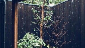 A wooden fence with a garden area containing rocks, plants, and a tree. - Meguru House Kyoto (Kyoto)