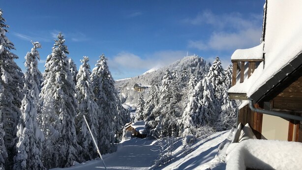Ein schneebedecktes Skigebiet mit Holzhütten und Lasten von Schnee tragenden Bäumen.