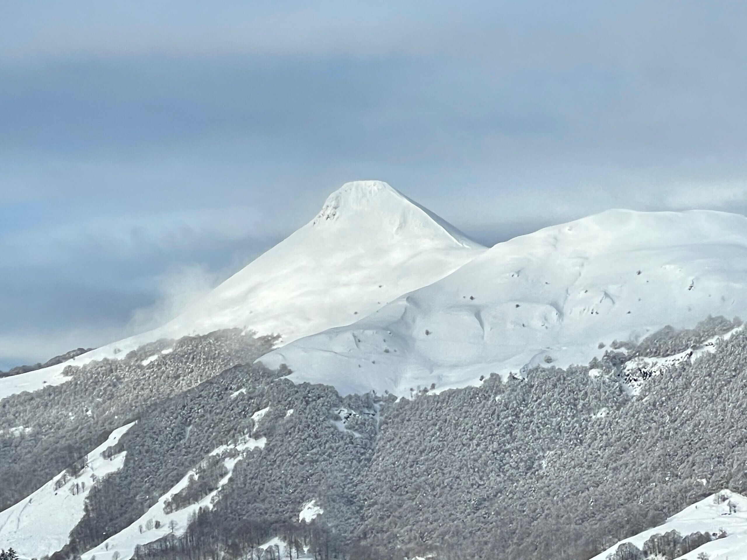 A snow-covered mountain with a prominent peak and forested slopes.