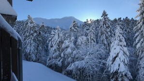 Schneebedeckte Landschaft mit einem Berg im Hintergrund.