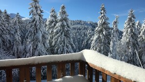 Ein Holzbalkon mit Schneeansammlungen, der auf einen verschneiten Wald und einen Berg im Hintergrund blickt.