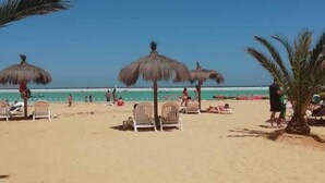 A beach with thatched umbrellas, lounge chairs, and palm trees. - Beachfront Spectacular New Apartment sleeps up to 8 - Laguna del Mar (La Serena)