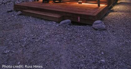 Franz Josef Accommodation - Cosy Cabin in the Paddock