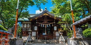 City view - Dotonbori Crystal Exe (Osaka)