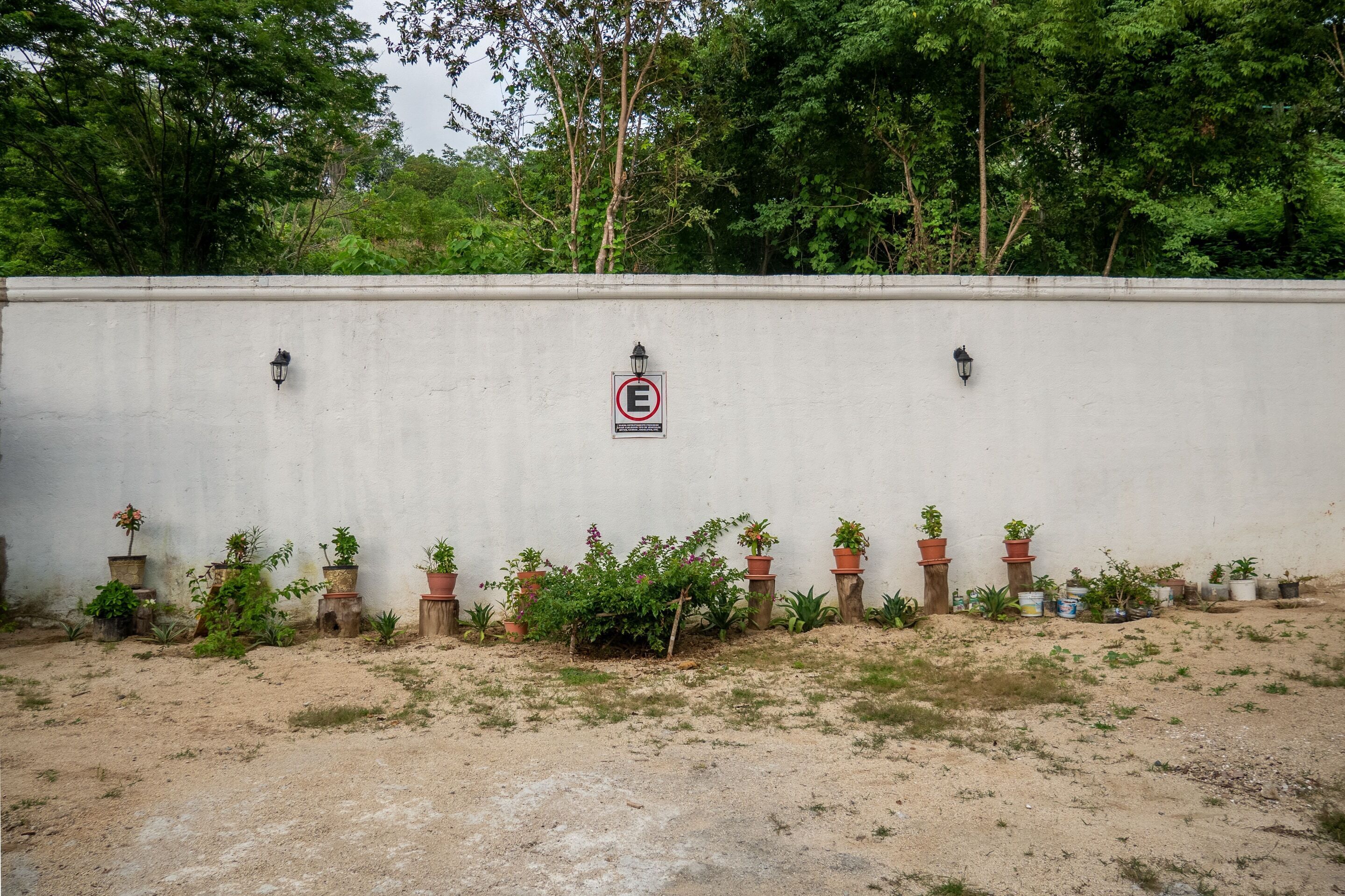 Pared blanca con señal de prohibido estacionar, plantas en macetas y suelo de tierra.