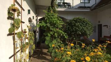 Jardín