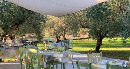 Anastasios Olive Garden Apartments