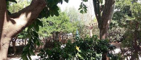Property grounds