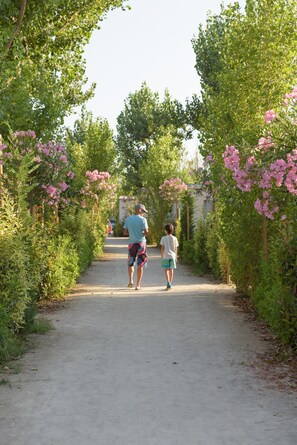Interior - Camping de l'Espiguette (Le Grau-Du-Roi)