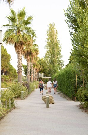 Lối vào nơi lưu trú