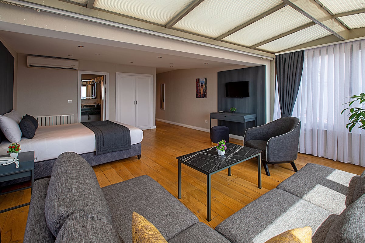 Deluxe Studio Suite, 1 Queen Bed with Sofa bed, City View