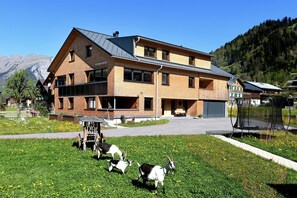 Ulkopuoli