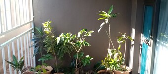 A house to yourself and family