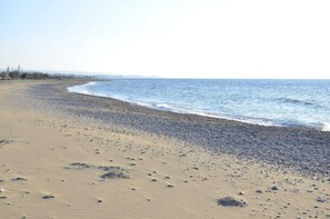 Vue sur la plage/l’océan