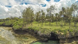 Un paysage côtier caractérisé par un ciel dégagé, une végétation luxuriante et une étendue d’eau calme.