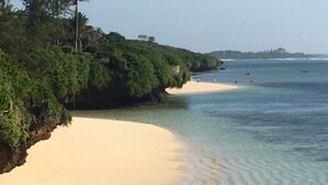 Une plage avec une eau cristalline, un rivage sablonneux et une végétation luxuriante.