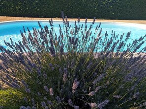 Garden - Les Bessonnes (Saint-Georges-Haute-Ville)