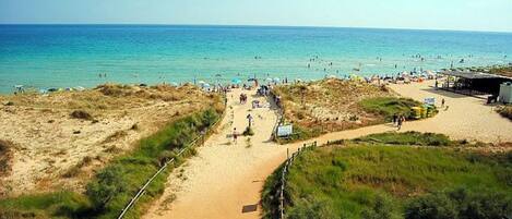 Chaises longues, serviettes de plage