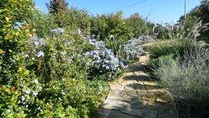 Un chemin de pierre bordé d’une végétation luxuriante et de plantes en fleurs.