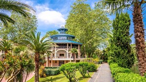 A traditional-style building with a blue roof, surrounded by lush greenery and palm trees.