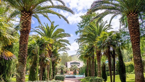 A pathway lined with palm trees leading to a building with a modern architectural design.