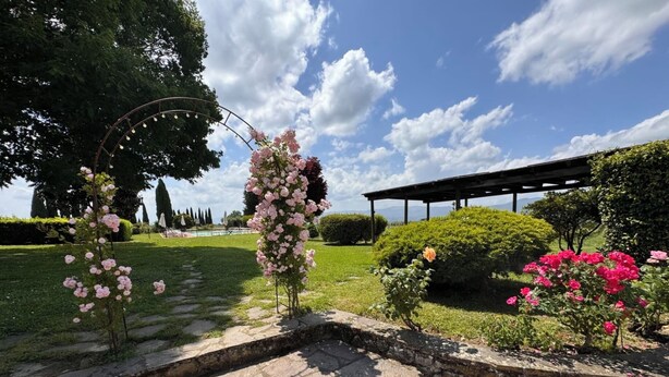 Un jardin agrémenté d’un chemin de pierres, d’une pergola et de diverses plantes à fleurs.