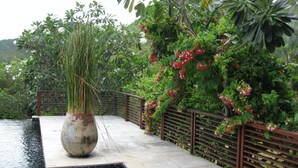 A garden with a water feature, a large pot with plants, and a metal fence. - 6 Bedroom Sea View Villas Kai Muk Mussourie (Koh Samui)