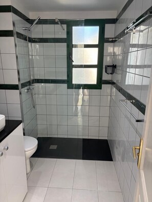 Combined shower/tub, hair dryer, towels, toilet paper