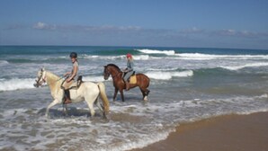 A beach with two horses and riders. - CASA SALON - Hacienda Finca Mangueta (Vejer de la Frontera)