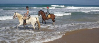 CASA SALON - Hacienda Finca Mangueta