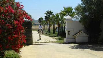 Terrein van de accommodatie