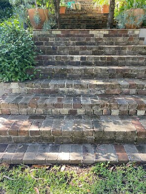 Property grounds - Studio minutes from Waterfront walks, close to Pasadenas, cafes, restaurants  (Bayview)