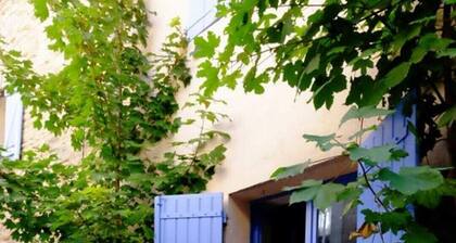 House with terrace in the heart of Provence