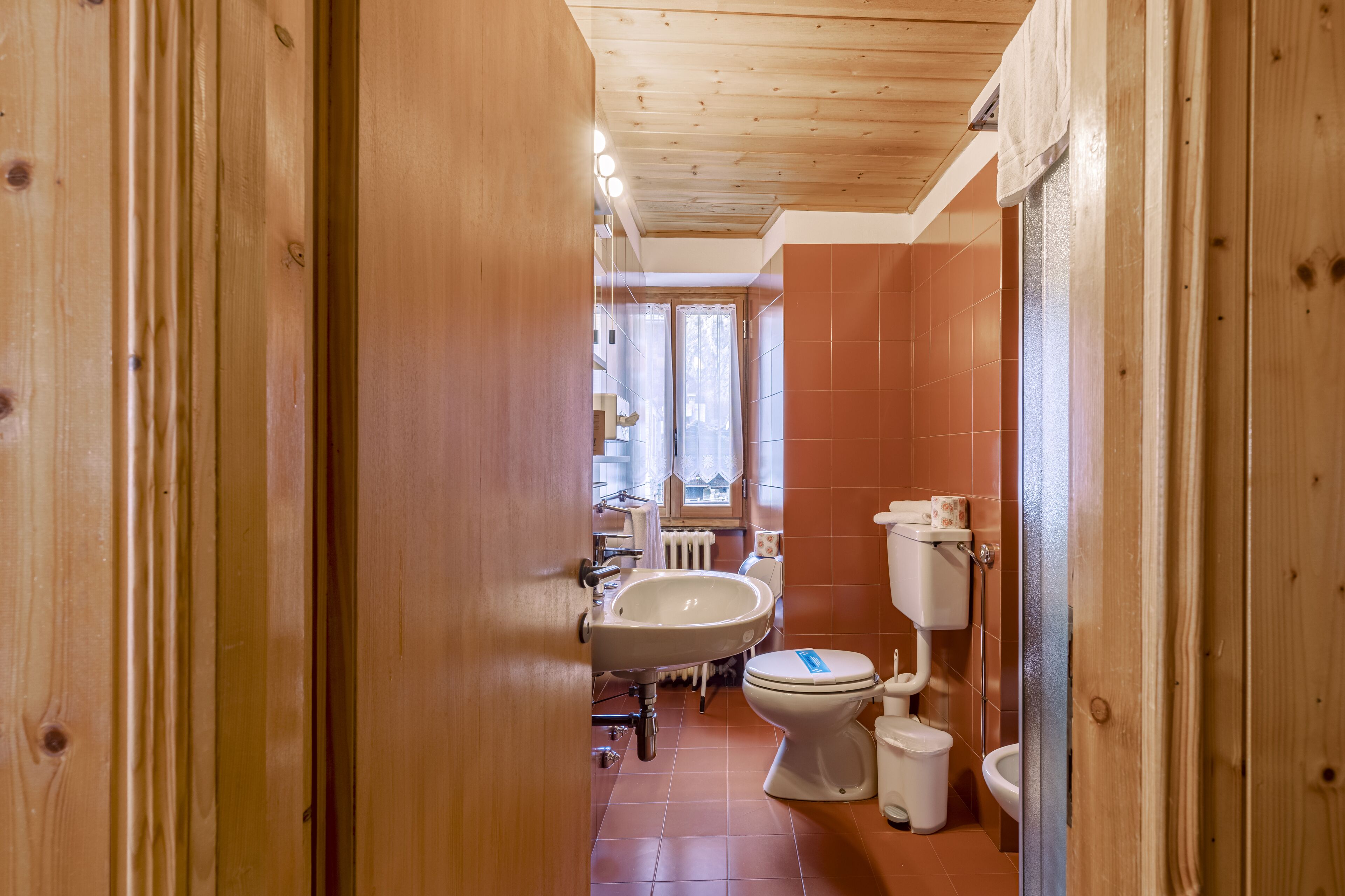 shower, free toiletries, hair dryer, slippers