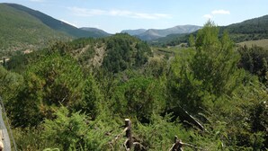 A mountainous landscape with dense forests and a clear sky. - cottage: nature and lavender (la rochette du buis)