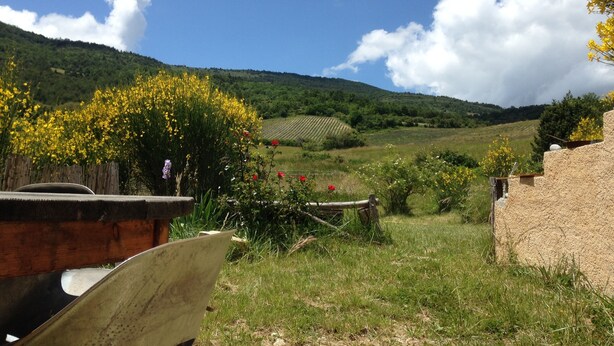 A rural landscape with a field of yellow flowers, a wooden fence, and a hill in the background. - cottage: nature and lavender (la rochette du buis)