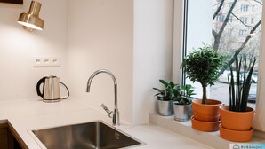 A modern kitchen with a stainless steel sink, a kettle, and potted plants by a window. - Warsaw Concierge Saska Studio (Warsaw)